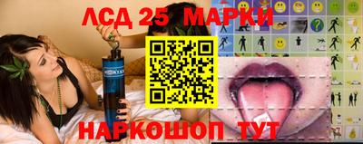 сатива Ярославль