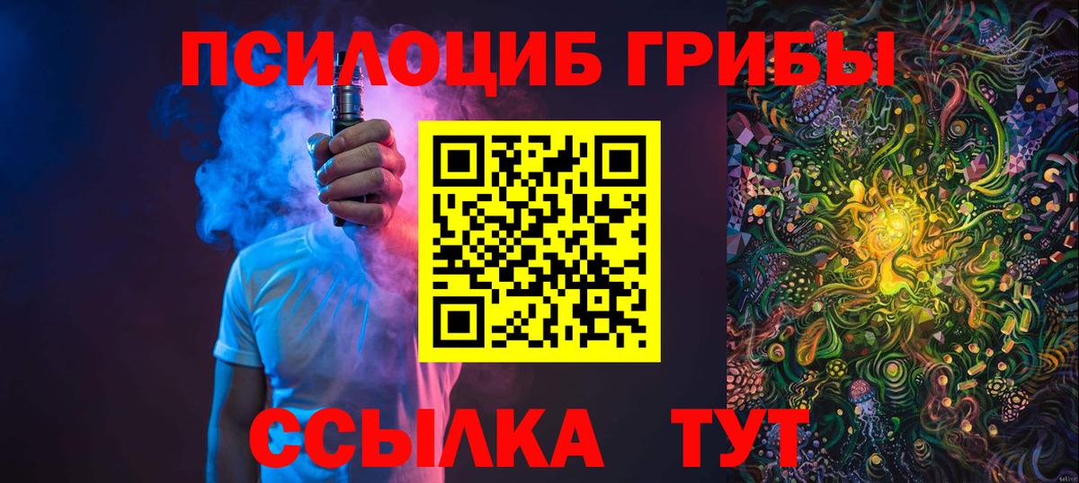 Галлюциногенные грибы прущие грибы  Вход с VPN  Комсомольск-на-Амуре  купить  сайты  Псилоцибиновые грибы Psilocybe 